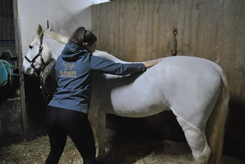 Horse and rider cantering in a Kent field during performance training