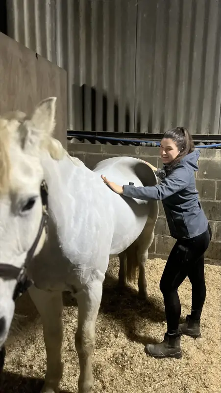 Horse being assessed during an equine physiotherapy session
