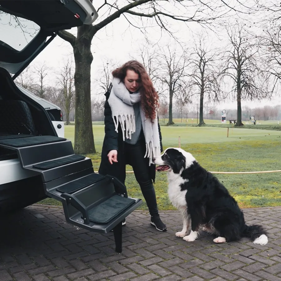 Dog & Drive Ramp